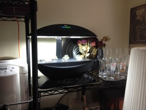 Aerogarden on a shelf